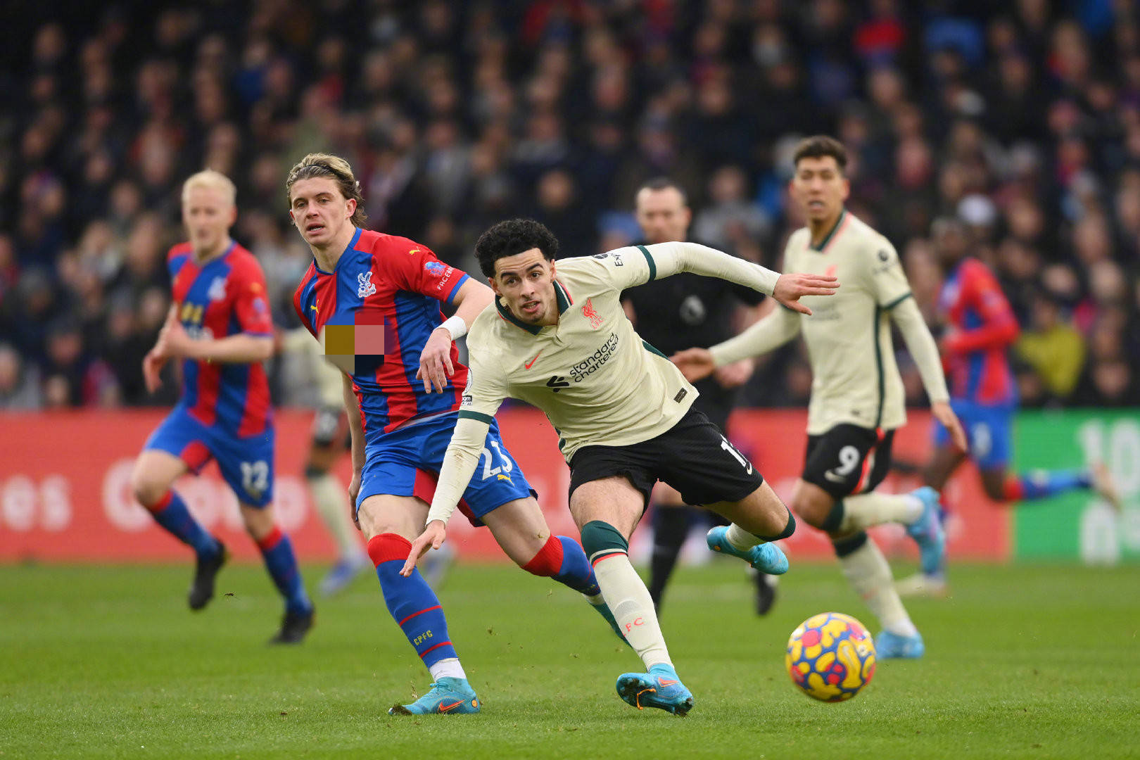 这位意甲豪 这位意甲豪